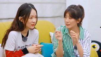 吃瓜娱乐台免费观看完整版,免费畅享明星八卦，完整版独家放送